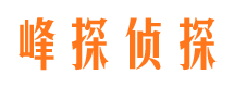 神农架市调查公司